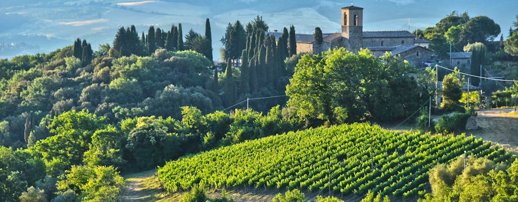 Degustação de vinhos Brunello e almoço em castelo toscano em Montalcino