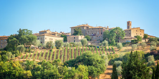 Wine tasting and lunch in a typical winery in Montepulciano