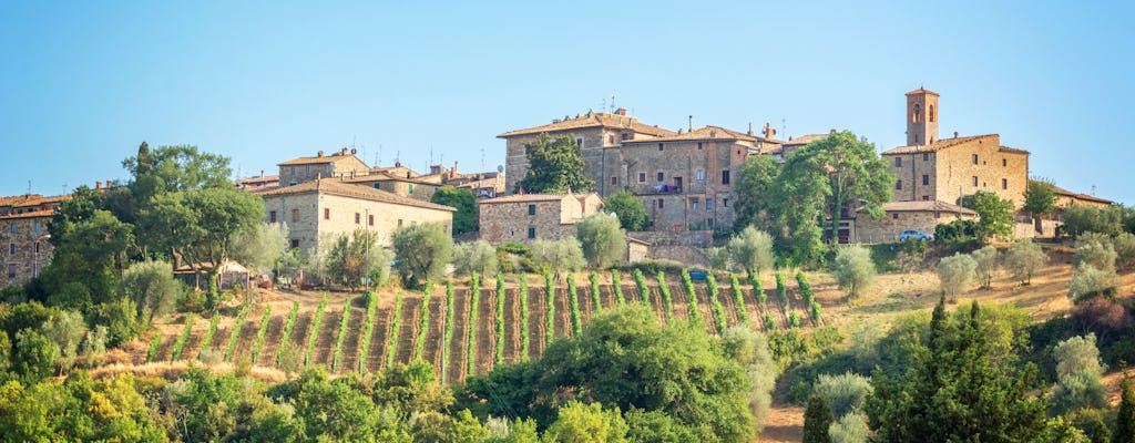 Degustação de vinhos e almoço em uma adega típica em Montepulciano