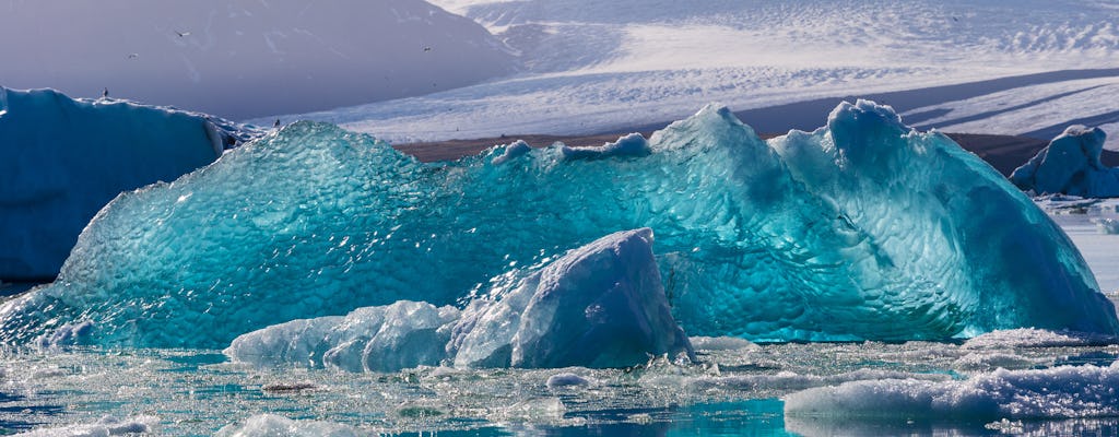 Excursion d'une journée à Jökulsárlón