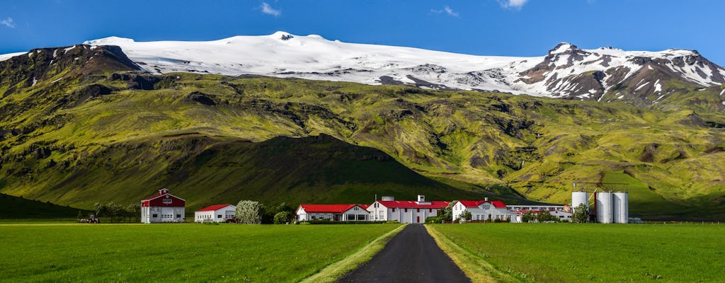 Excursión de un día a la costa sur y Eyjafjallajokull