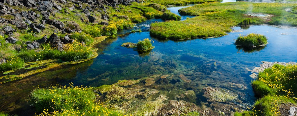 Private tour to Landmannalaugar and Hekla volcano