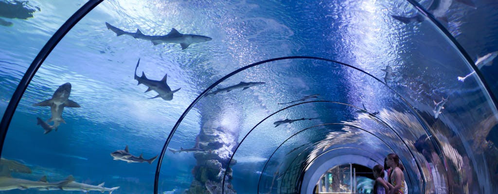 Billets pour l'aquarium d'Antalya avec transfert depuis Kemer