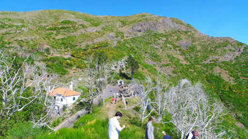 Cliffs & Valleys 4x4