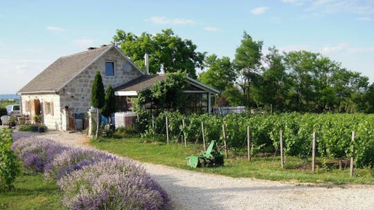 Half-day countryside wine tour from Budapest