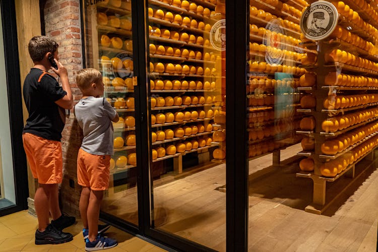 The Story of Edam Cheese museum entrance ticket