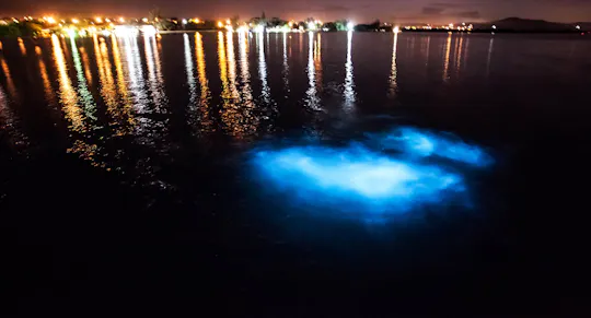 Abendliche Bootsfahrt in der leuchtenden Lagune