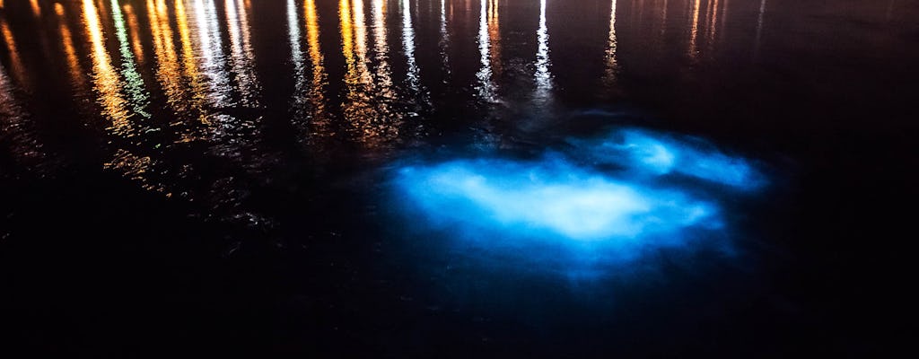 Cruzeiro noturno na Lagoa Luminosa