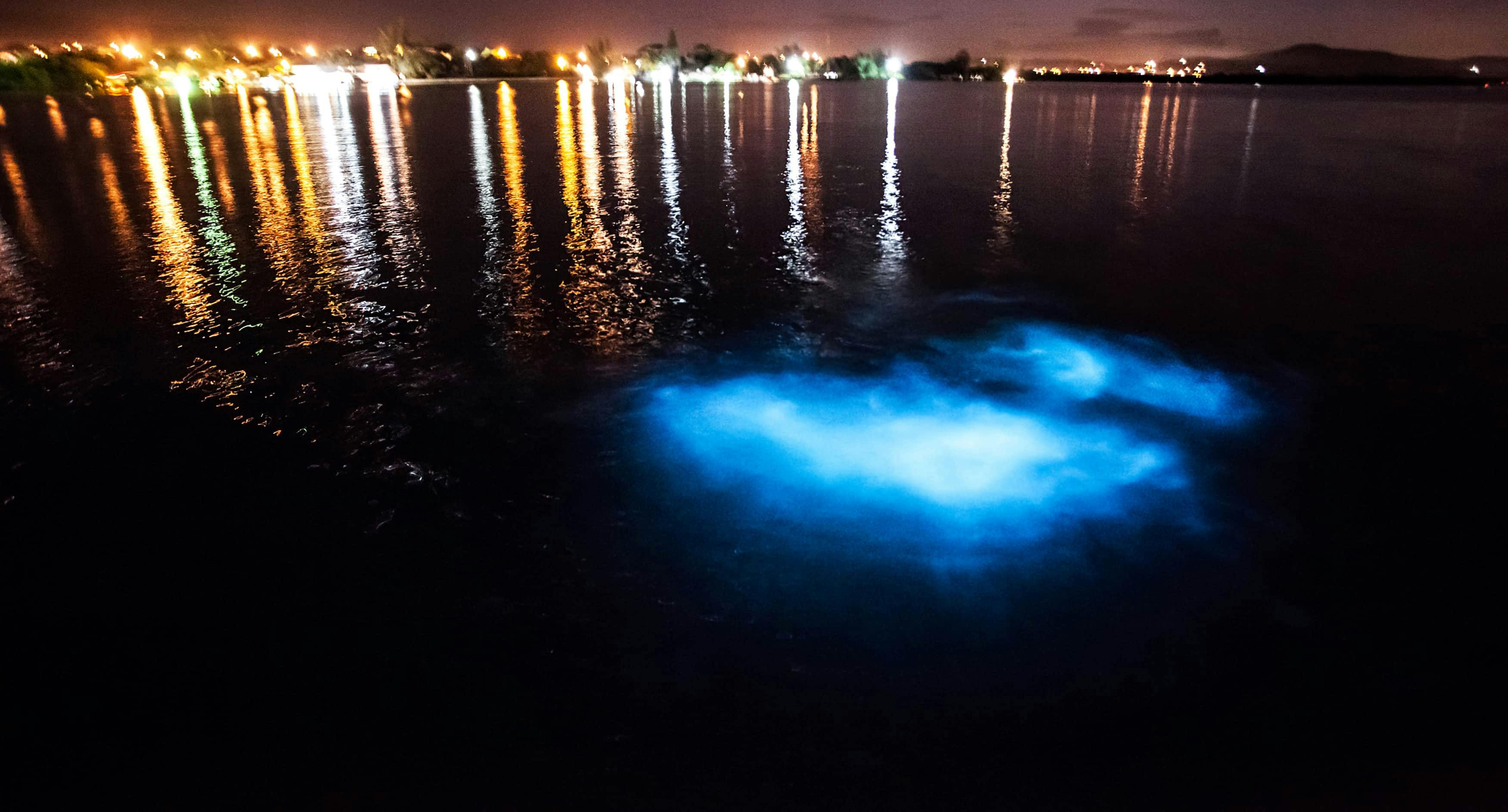 Avondcruise in de Luminous Lagoon