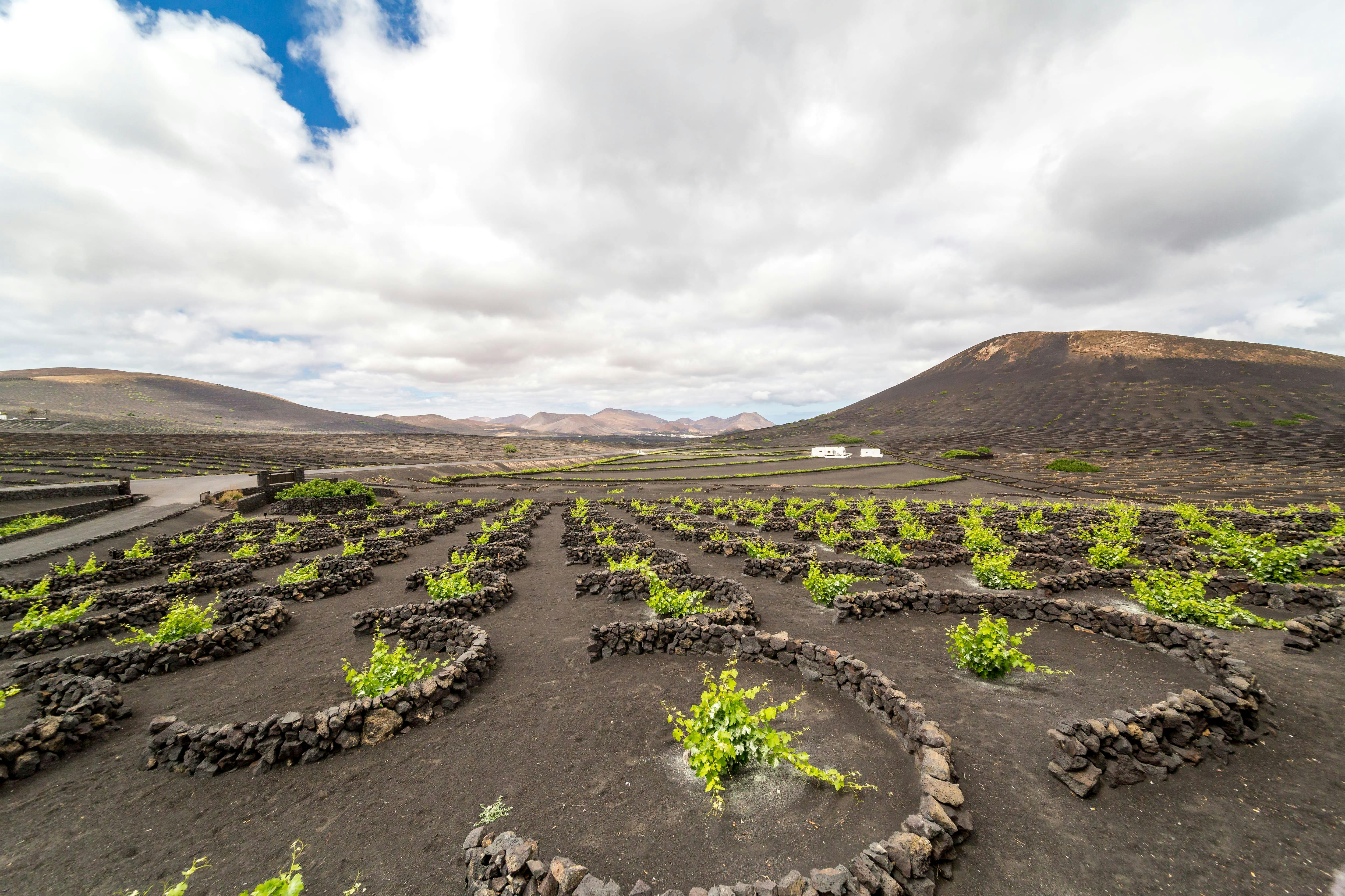 Lanzarote Trike Grand Tour