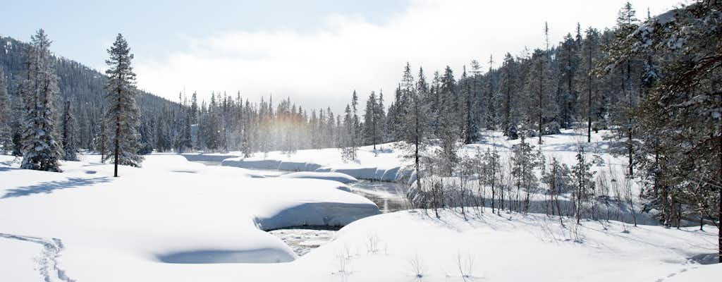 Billets pour Sälen