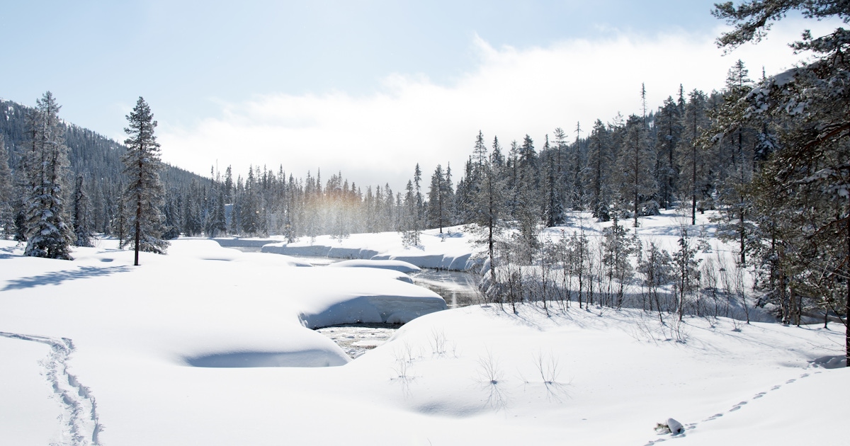 Sälen: What to Do, What to Book, and How to Plan It (Tips + FAQ)