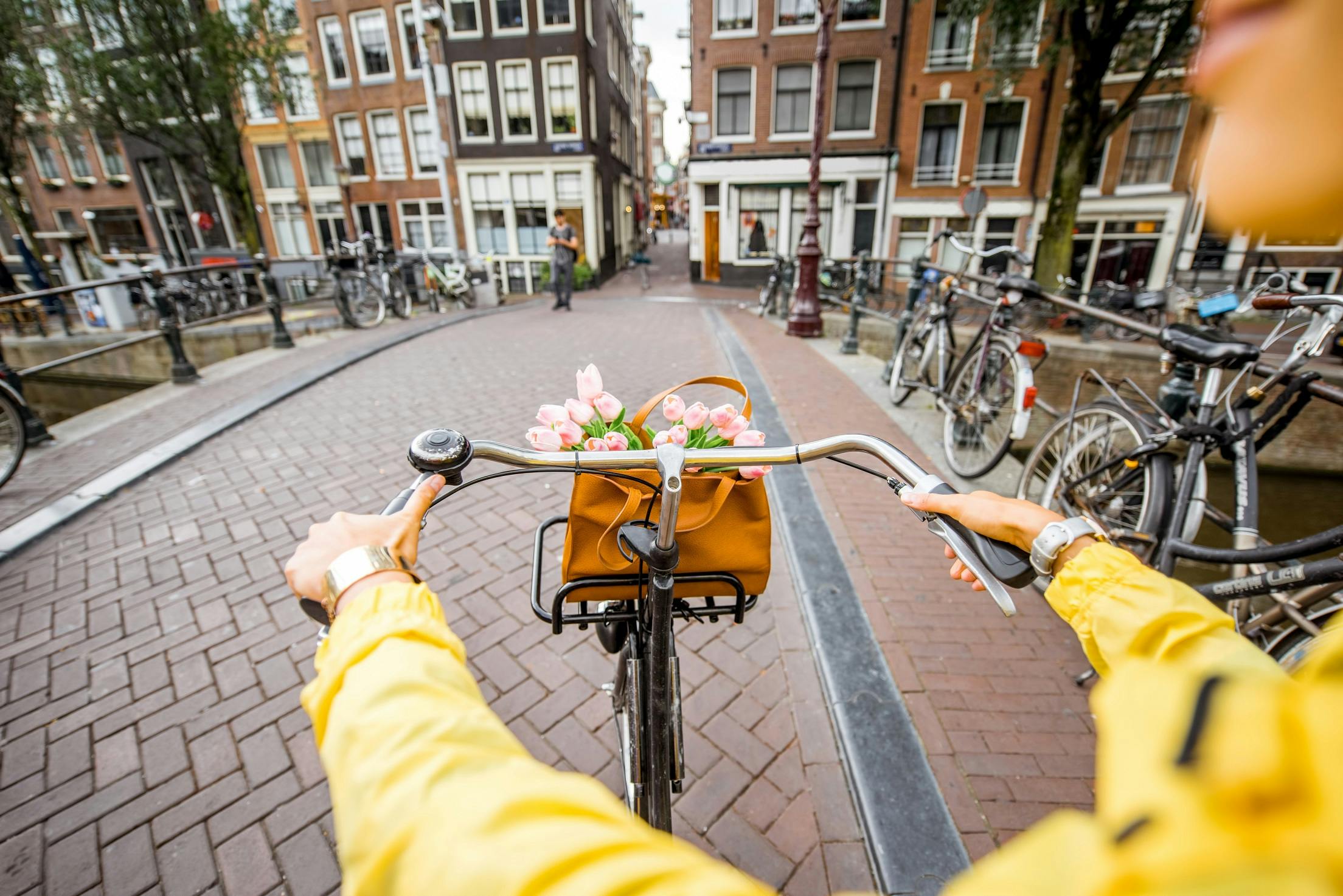 Mini tour guiado en bicicleta por la ciudad de Ámsterdam