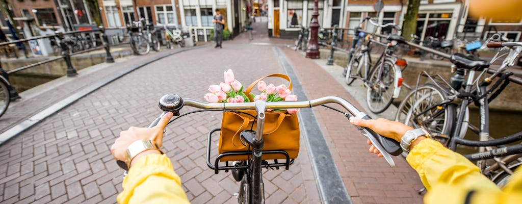 Tour guidato in mini città di Amsterdam in bicicletta