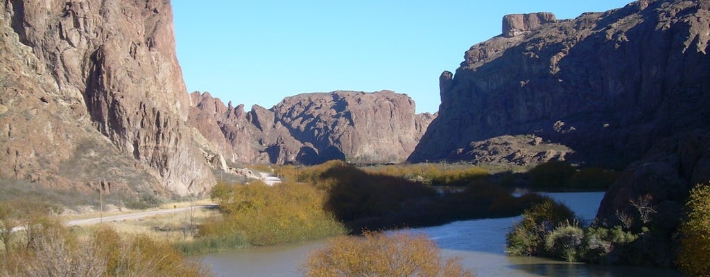 Excursion d'une journée à Península Valdés