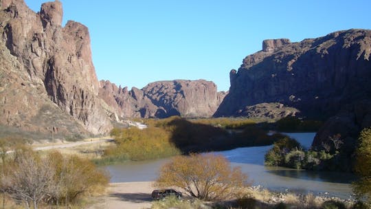 Full-day tour to Península Valdés