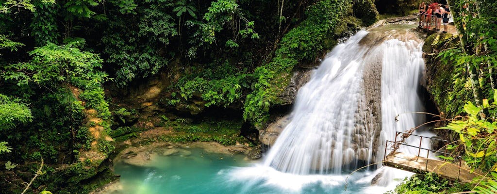 Dunn's River Falls & Blue Hole Tour