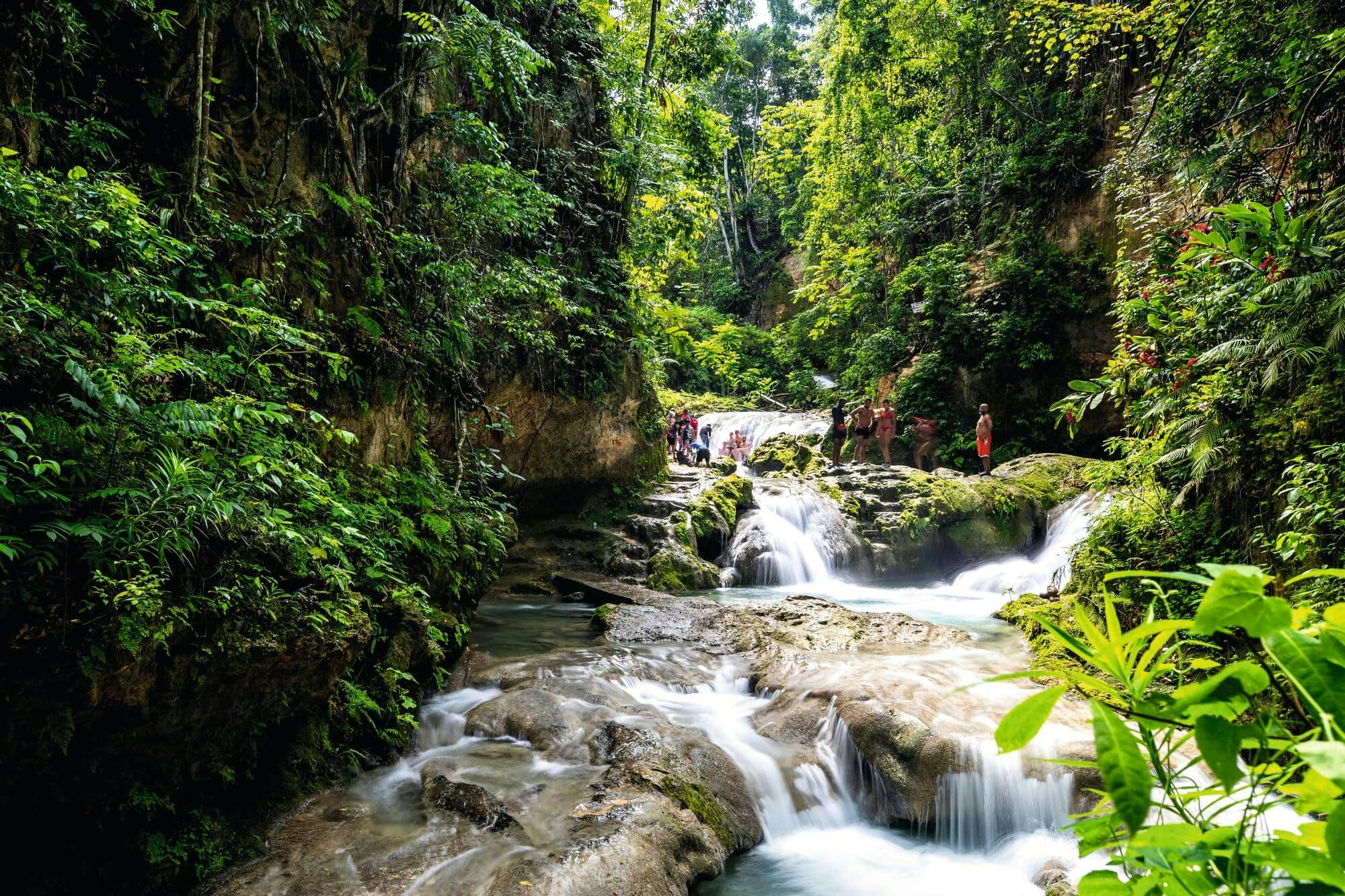 Dunn's River Falls & Blue Hole Tour