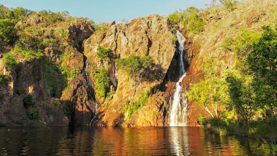 Stadsgezichten van Darwin en krokodillen springen met een gids