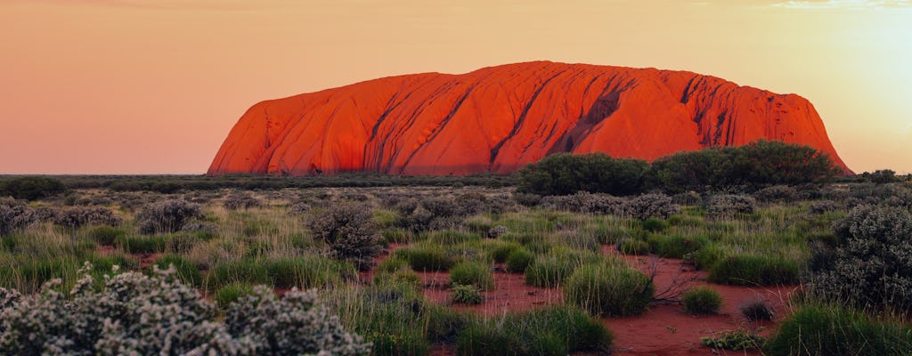 Tramonto di Uluru con barbecue