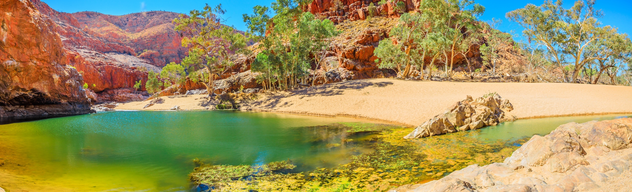 Nature in Central Australia