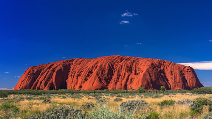 Uluru Sunrise and Field of Light