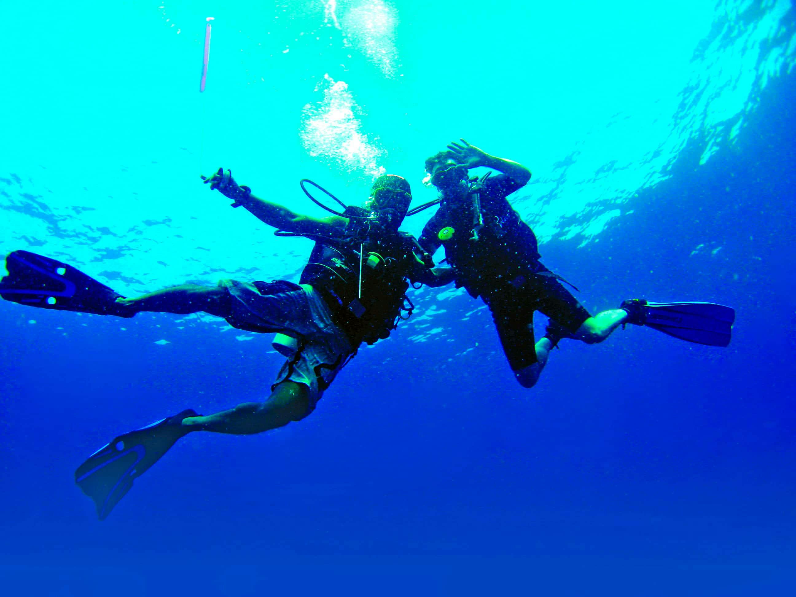 Cours de plongée en eau libre avec Delphinus Diving