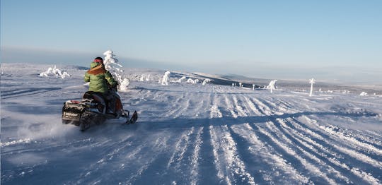 Guided snowmobile tour in Sälen