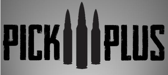 3+ firearms shooting experience