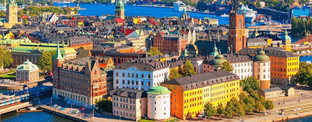 Stoccolma evidenzia il tour privato e l'esperienza del bar di ghiaccio