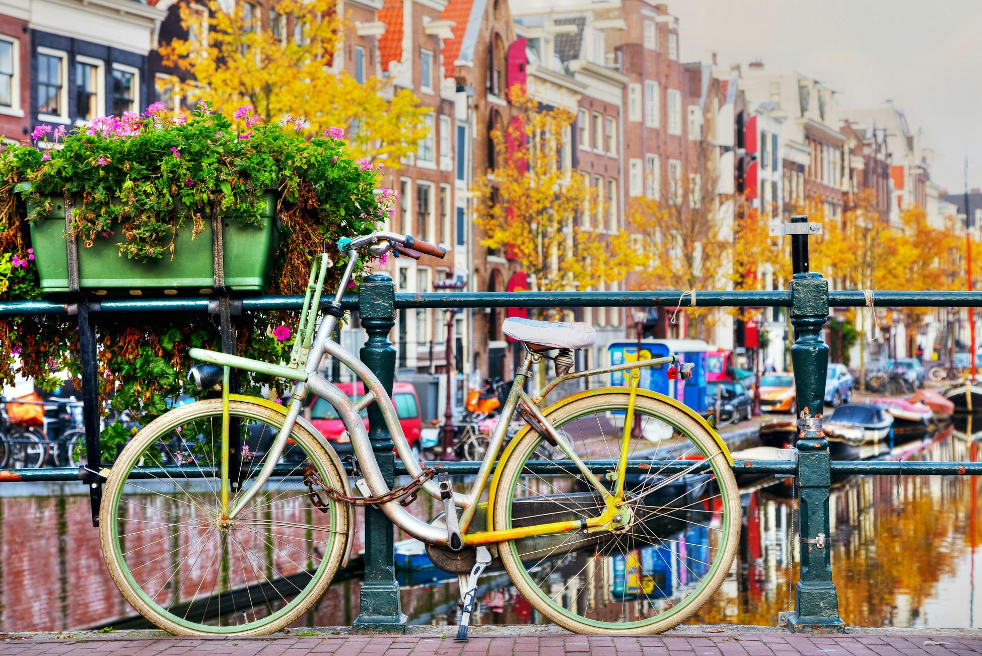 Recorrido privado en bicicleta por Ámsterdam