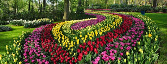 Excursión privada de un día a los jardines de Keukenhof desde Ámsterdam