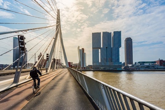 Stadswandeling "Introductie Rotterdam" met privégids