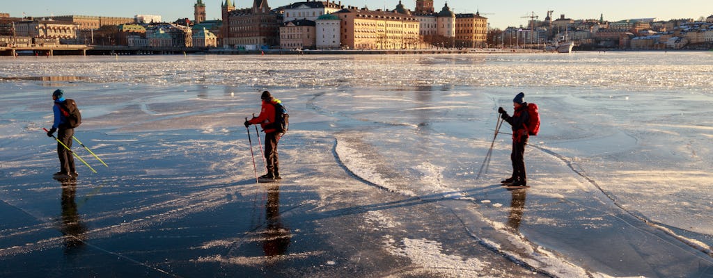 Advanced Nordic ice skating tour around Stockholm