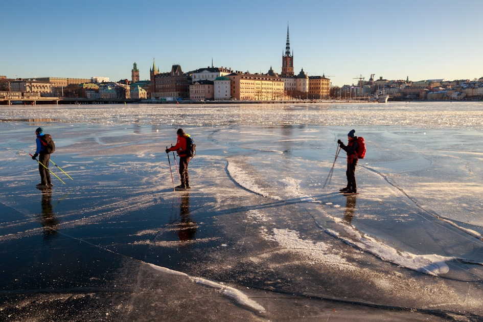 Winter activities in Stockholm  musement