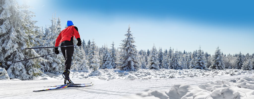 Avventura sugli sci di fondo nei dintorni di Stoccolma
