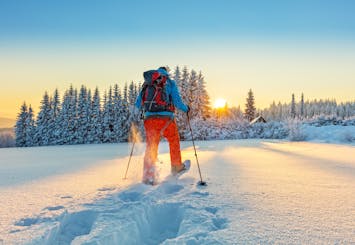Escursione invernale con le ciaspole vicino a Stoccolma
