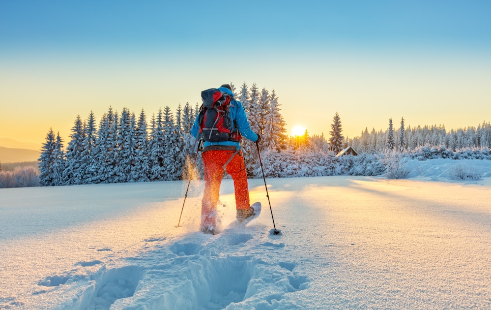 Hiking & bike tours in Stockholm