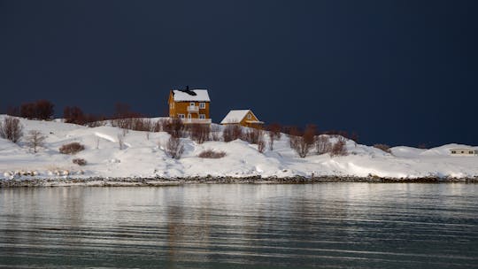 Winter Arktis Landschaften Kleingruppentour