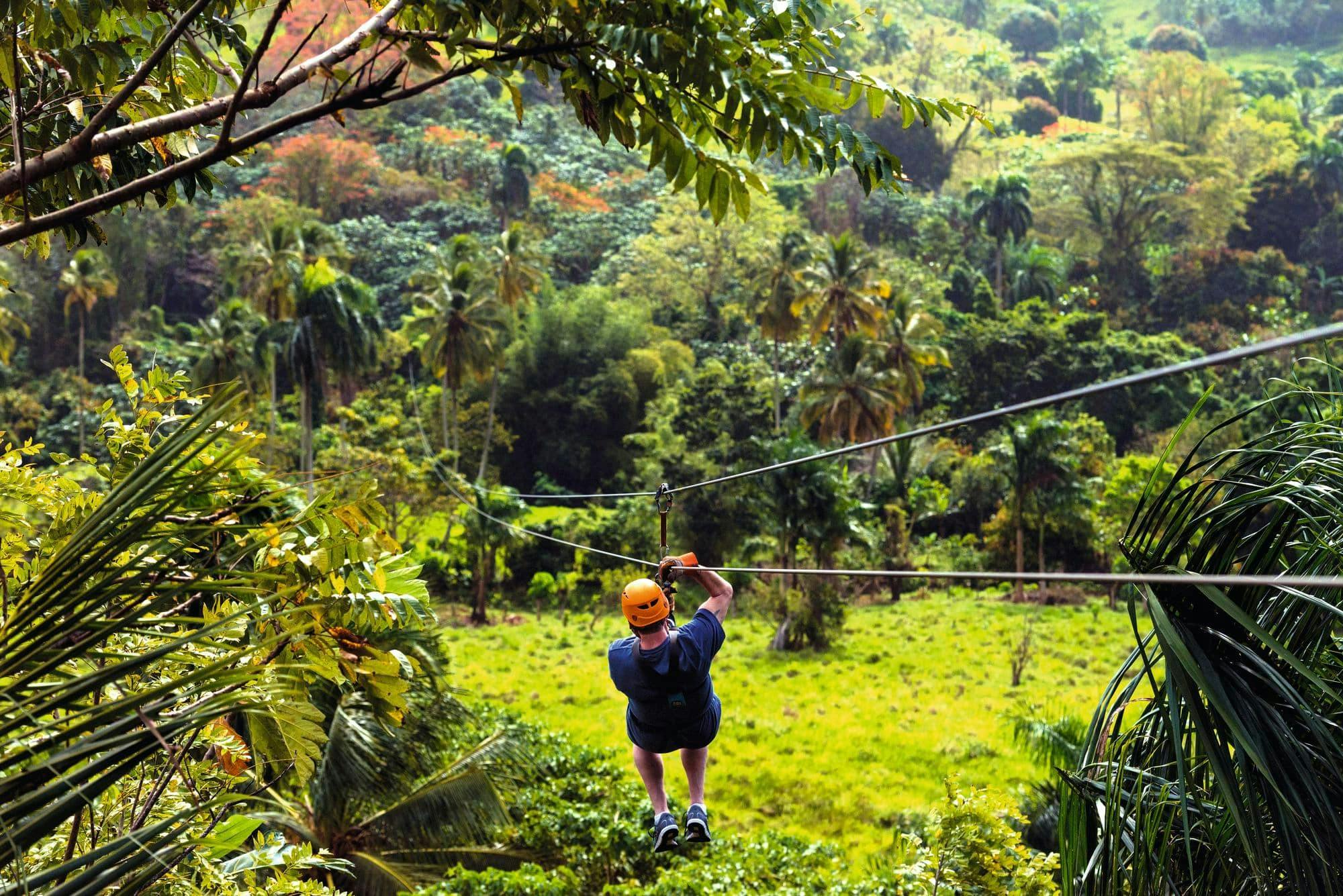 Zipline Adventure