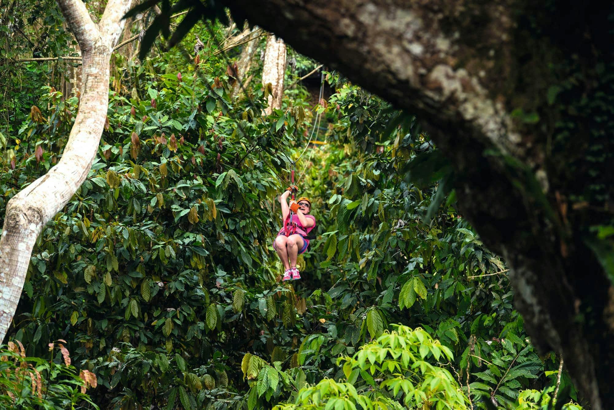 Zipline Adventure