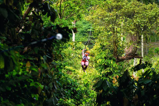 Zipline Adventure