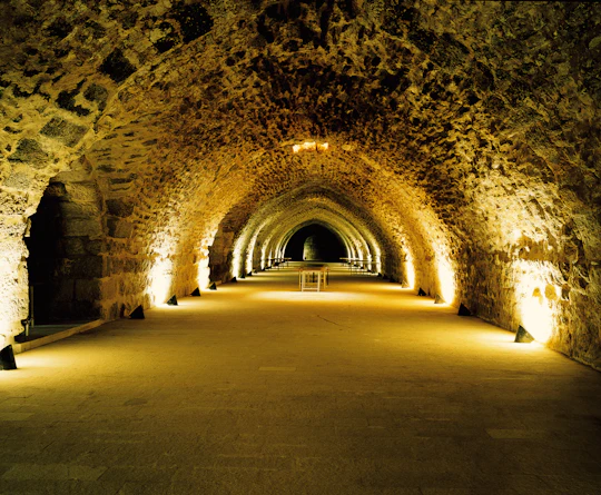 Private full-day tour of Karak and Shobak castles