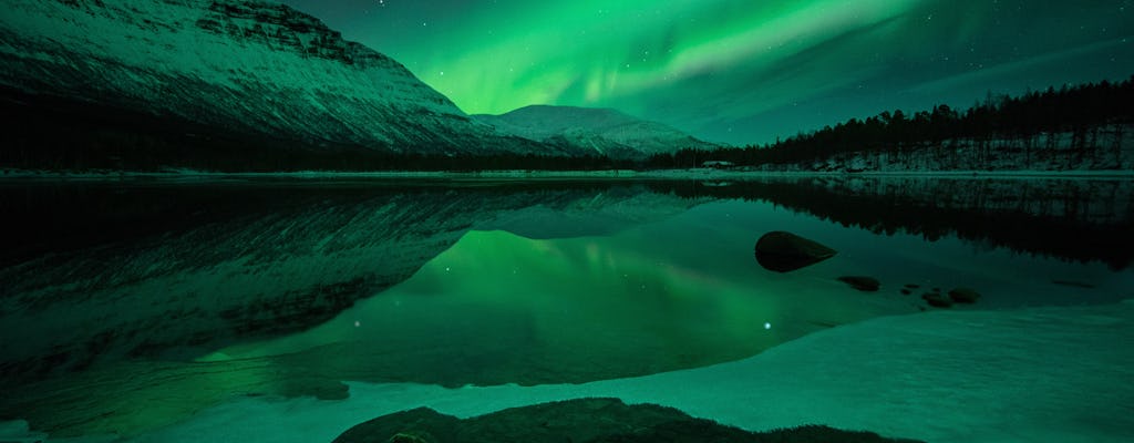 Caza de auroras en grupos pequeños desde Tromsø