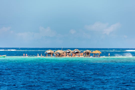 Paradise Island