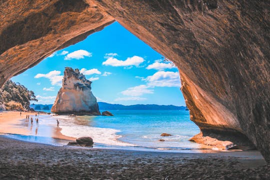 Visite en petit groupe de Coromandel Wanderer au départ d'Auckland