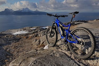 Visite guidée en montagne à vélo électrique