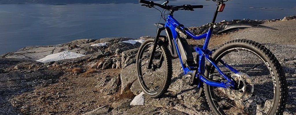 Visite guidée en montagne à vélo électrique