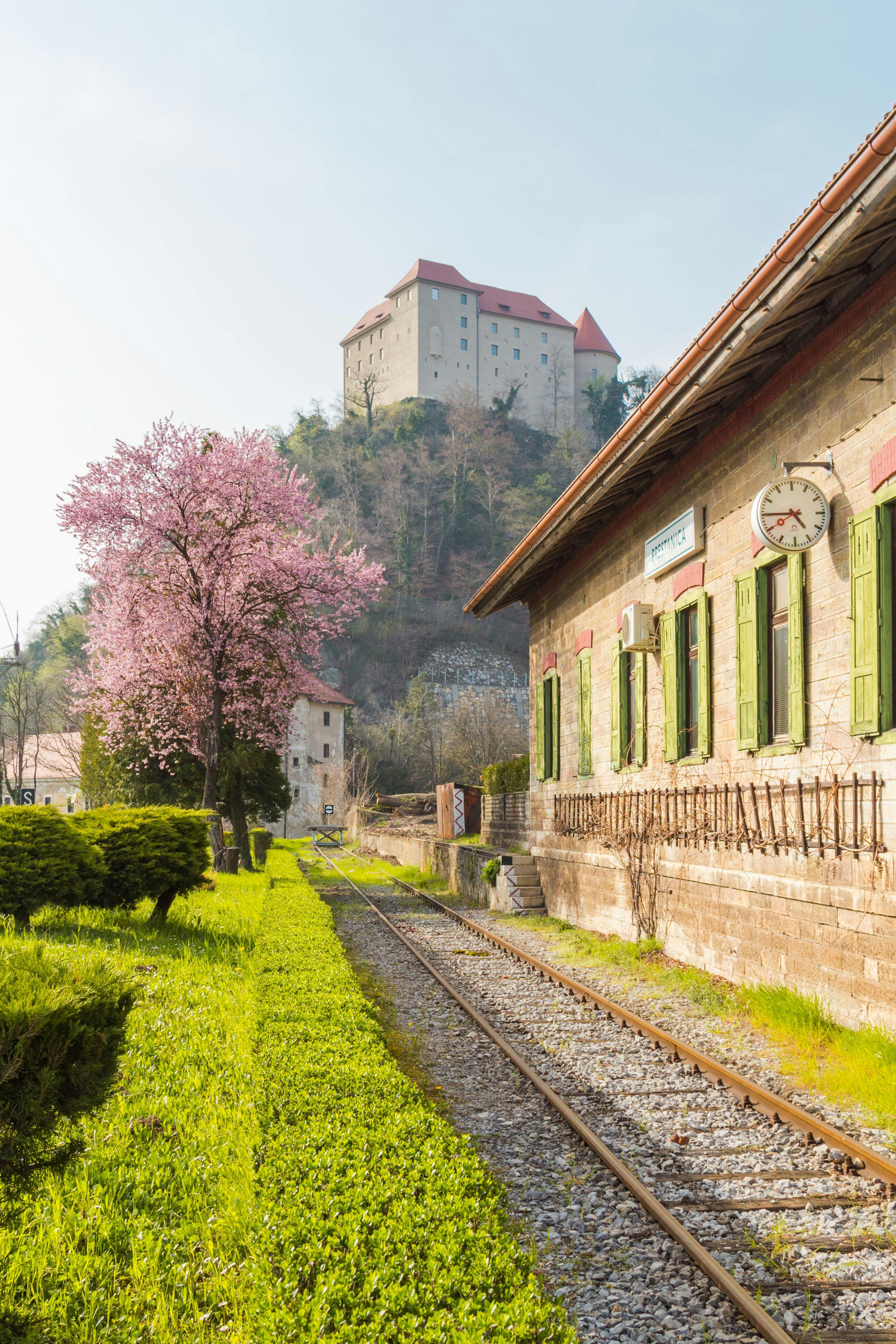 Excursión de un día al castillo de Rajhenburg con chocolate y vino de Bled