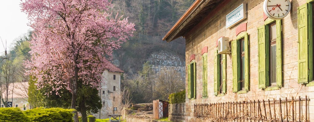 Excursion d'une journée au château de Rajhenburg avec du chocolat et du vin de Bled